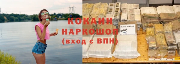 гидра Арсеньев