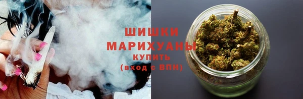 гидра Арсеньев