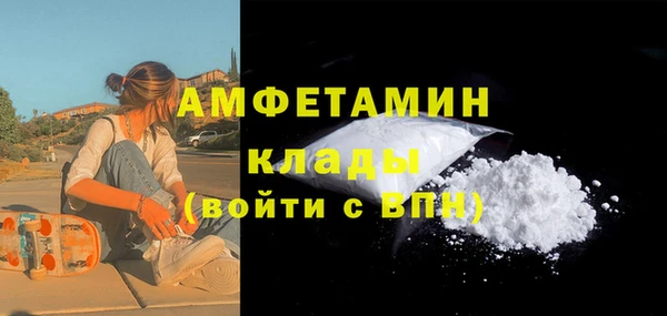 гидра Арсеньев
