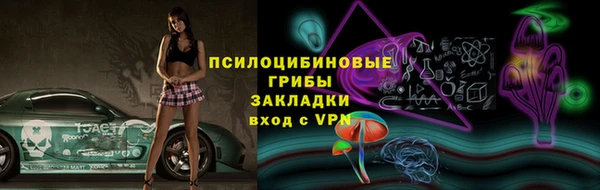 гидра Арсеньев