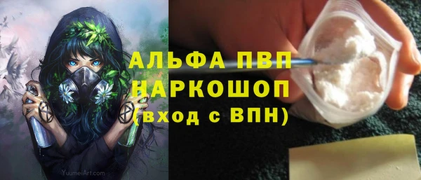 гидра Арсеньев