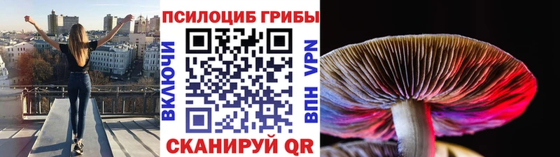 Псилоцибиновые грибы Psilocybine cubensis  гидра ССЫЛКА  Карабаш 